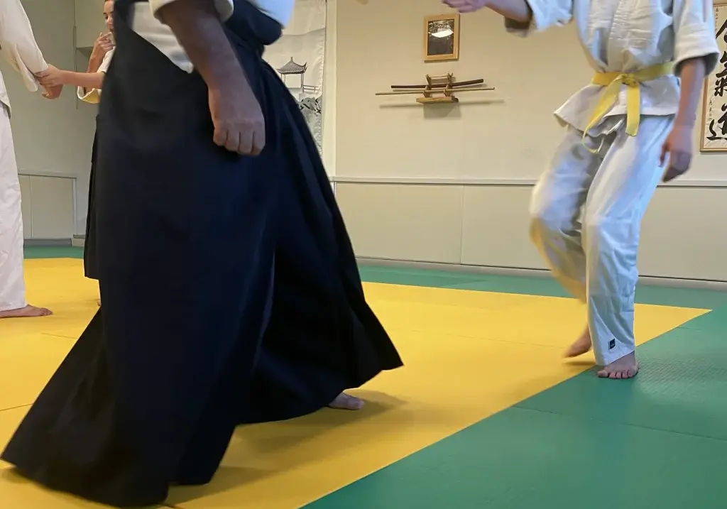 Pratique de l'Aïkido